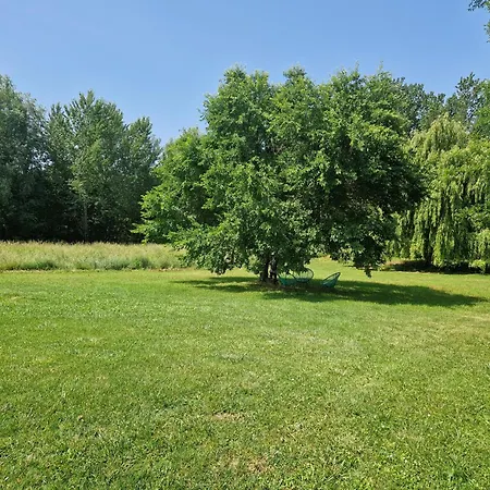 Maison Cassin47 *